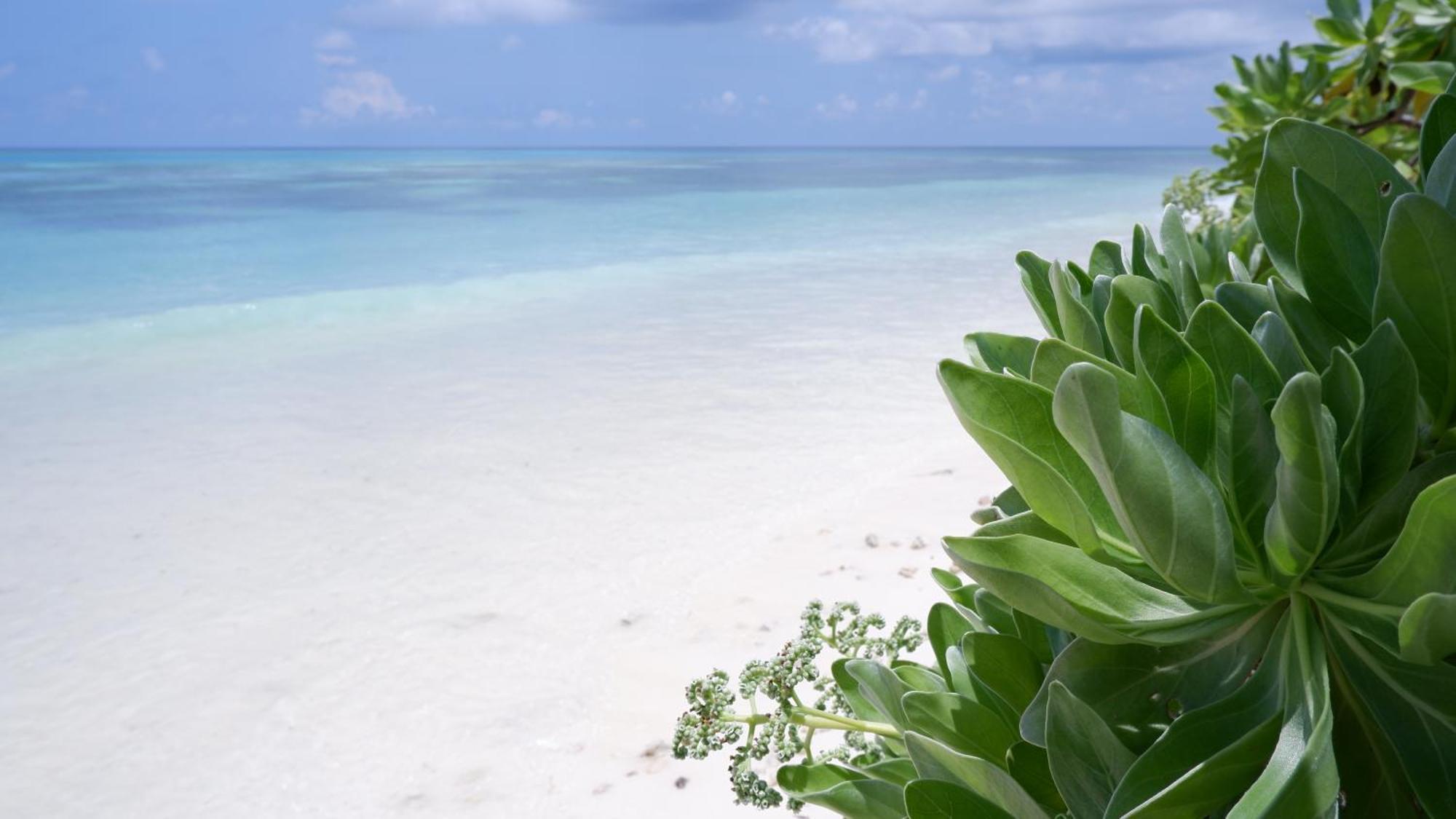 One The Island Hotel Naifaru Ngoại thất bức ảnh